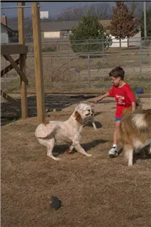 small_9400 1824 mom&dad's, via, familyIMG0079.webp